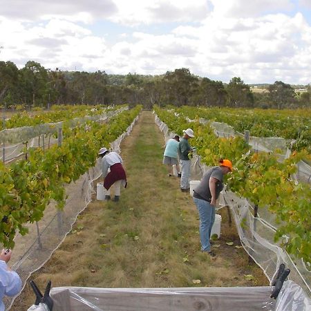 Fergies Hill Spa Cottage @ Granite Ridge Wines Ballandean Экстерьер фото