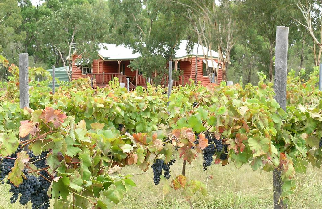 Fergies Hill Spa Cottage @ Granite Ridge Wines Ballandean Экстерьер фото